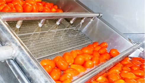 水触媒净化系统